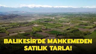 Balkesir Bandrma'da mahkemeden satlk tarla!