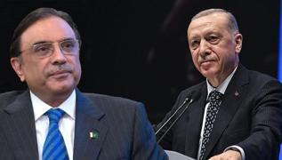 Bakan Erdoan, Pakistan Cumhurbakan Asf Ali Zerdari ile grt