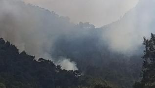 Antalya'da orman yangn: Mdahale devam ediyor