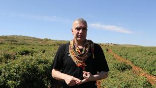 Berdan Mardini gl fabrikas kurdu! Hasat yapld