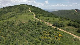 Afyonkarahisar'da ormanlk alanlara giriler yasakland