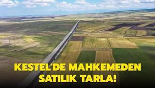 Kestel'de mahkemeden satlk tarla!