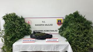 Sakarya'da uyuturucu operasyonu: 2 tutuklama