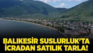 Balkesir Susurluk'ta icradan satlk tarla!
