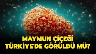 Maymun iei Trkiye'de grld m? Maymun iei son dakika aklamas
