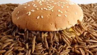Geriye bakn ne kald! Binlerce un kurdunun iine burger braklrsa...