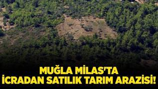 Mula Milas'ta icradan satlk tarm arazisi!