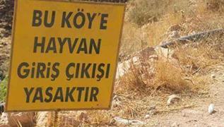 anlurfa'da kuduz alarm: Yarallar var, ky karantinaya alnd