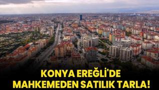 Konya Ereli'de mahkemeden satlk tarla!