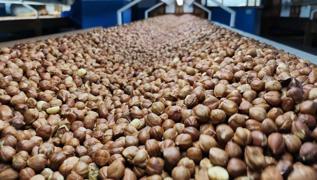 Fndk ihracat 6 ayda 1,5 milyar dolar kazandrd