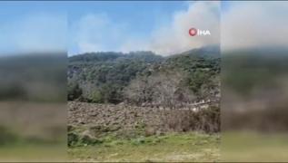 Gelibolu'da orman yangn! Ekipler mdahale ediyor