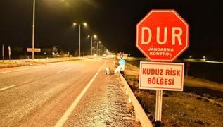 Adyaman'da kuduz alarm: Belde karantinaya alnd