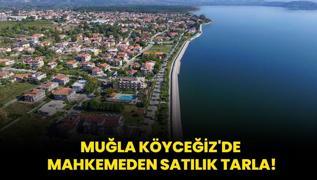 Mula Kyceiz'de mahkemeden satlk tarla!
