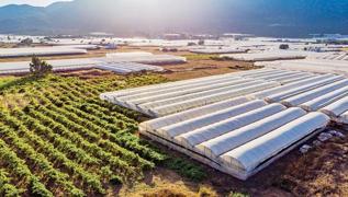Yozgat'ta Sera OSB ile 1500 kiiye i