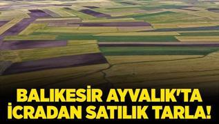 Balkesir Ayvalk'ta 38.108 metrekare icradan satlk tarla!