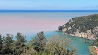 Bartn'da deniz amur rengine dn
