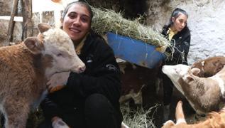 niversite mezunu kadn 100 bin TL hibe ald besici oldu! Hayvan saysn 3 ylda 2 katna kard