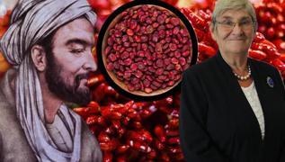 Doktorlar bile artan 5 baharat! bni-i Sina'dan Canan Karatay'a kadar birok uzmann nerisi