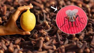 Sinek kovucu baharat! Limon ile kullannca etkisi 10 katna kyor