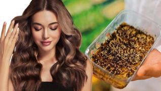 Msrllarn favorisi! Omega-3 bitkisi: Ne egzama kalyor ne sa dklmesi