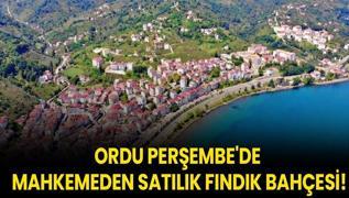 Ordu Perembe'de mahkemeden satlk fndk bahesi!