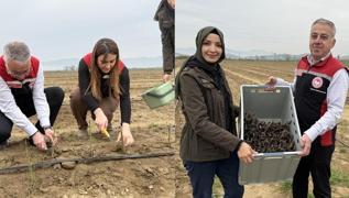 Yurt dndan talep yadran bitki! Hem su istemiyor hem bakm kolay! Hedef ihracat
