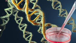 Diyet derken kanser olmayn! Dikkat! DNA yapsn bozuyor