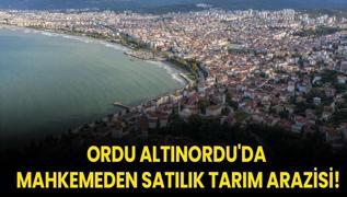 Ordu Altnordu'da mahkemeden satlk tarm arazisi!