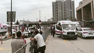 Malatya'da babo kpek deheti