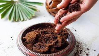 Kahve telvelerini pe atan piman oluyor! Bitkilere yle bir faydas var ki duyan aryor