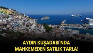 Aydn Kuadas'nda mahkemeden satlk tarla!