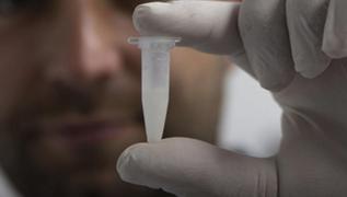 450 tanesinden 1 gram elde ediliyor! Trkiye'nin kapsnda sraya girdiler