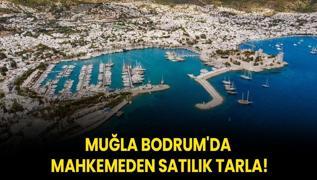 Mula Bodrum'da mahkemeden satlk tarla!