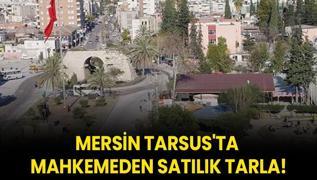 Mersin Tarsus'ta mahkemeden satlk tarla!