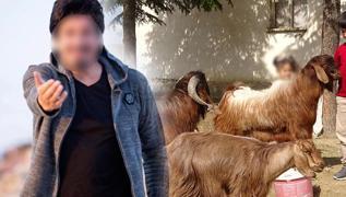 Hangi nlnn stannesi keiymi? Ortaya kan gerek oke etti
