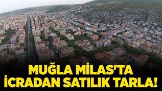 Mula Milas'ta 4.722.839 TL'ye icradan satlk tarla!