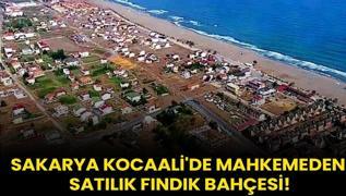 Sakarya Kocaali'de mahkemeden satlk fndk bahesi!
