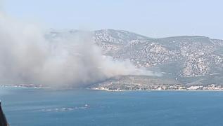 zmir Karaburun'da orman yangn