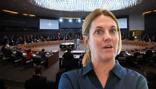 ngiltere'den Avrupa'ya uyar: Trkiye srecin merkezinde olmal