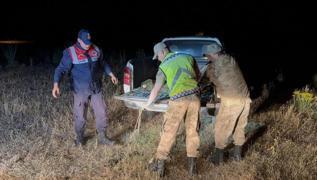 Kaak avlanan 1,5 ton inci kefali suya geri brakld