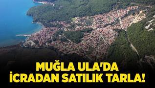 Mula Ula'da icradan satlk tarla!