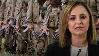 Terrsz Trkiye'ye adm adm! DEM Parti, terr rgt PKK'nn silah brakmasna ilikin tarih verdi