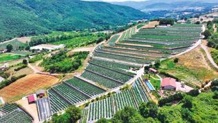 Yapay zekayla yzde 99 enerji tasarrufu salad