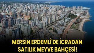 Mersin Erdemli'de icradan satlk meyve bahesi!