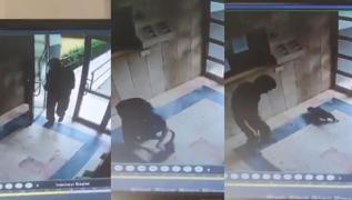 Grntler byk tepki toplamt! Kediye iddet uygulayan pheli gzaltna alnd