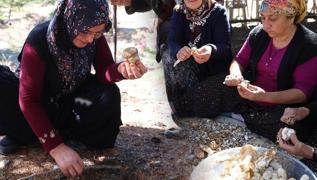 Japonlar, Adana'ya akn etti! Kilosu etle yaryor: Demir depolarn fullyor, kemikleri glendiriyor