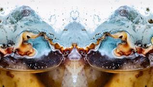 Resimde hangi hayvan var? Grsel zeka testi detayc msn estetik mi sylyor