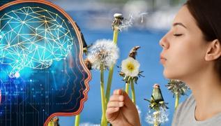 Avrupa'da zek ilac olarak tketiliyor! Trkiye'de yol kenarnda bile yetiiyor, kimse yzne bakmyor