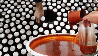 Gmhane'nin dalarnda yetiiyor! C vitamini deposu: Doal kalp ilac