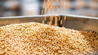 Gaz skmas ve kabzla neden oluyor! Faydal diye yiyoruz ama barsaklar tkyor